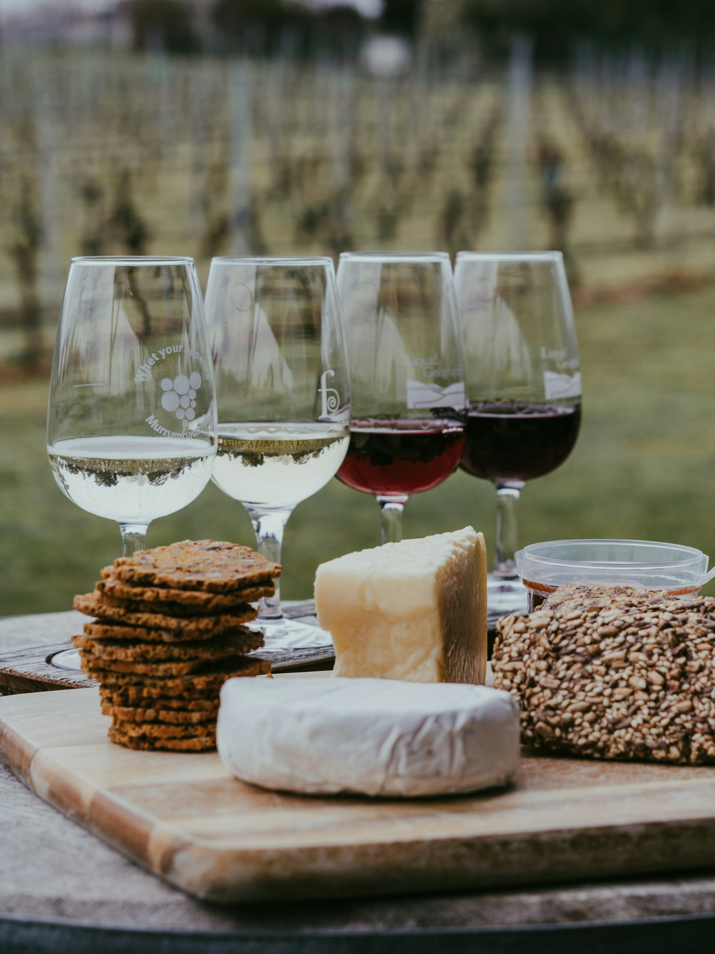 The Art of Wine Tasting: A Beginner’s Guide