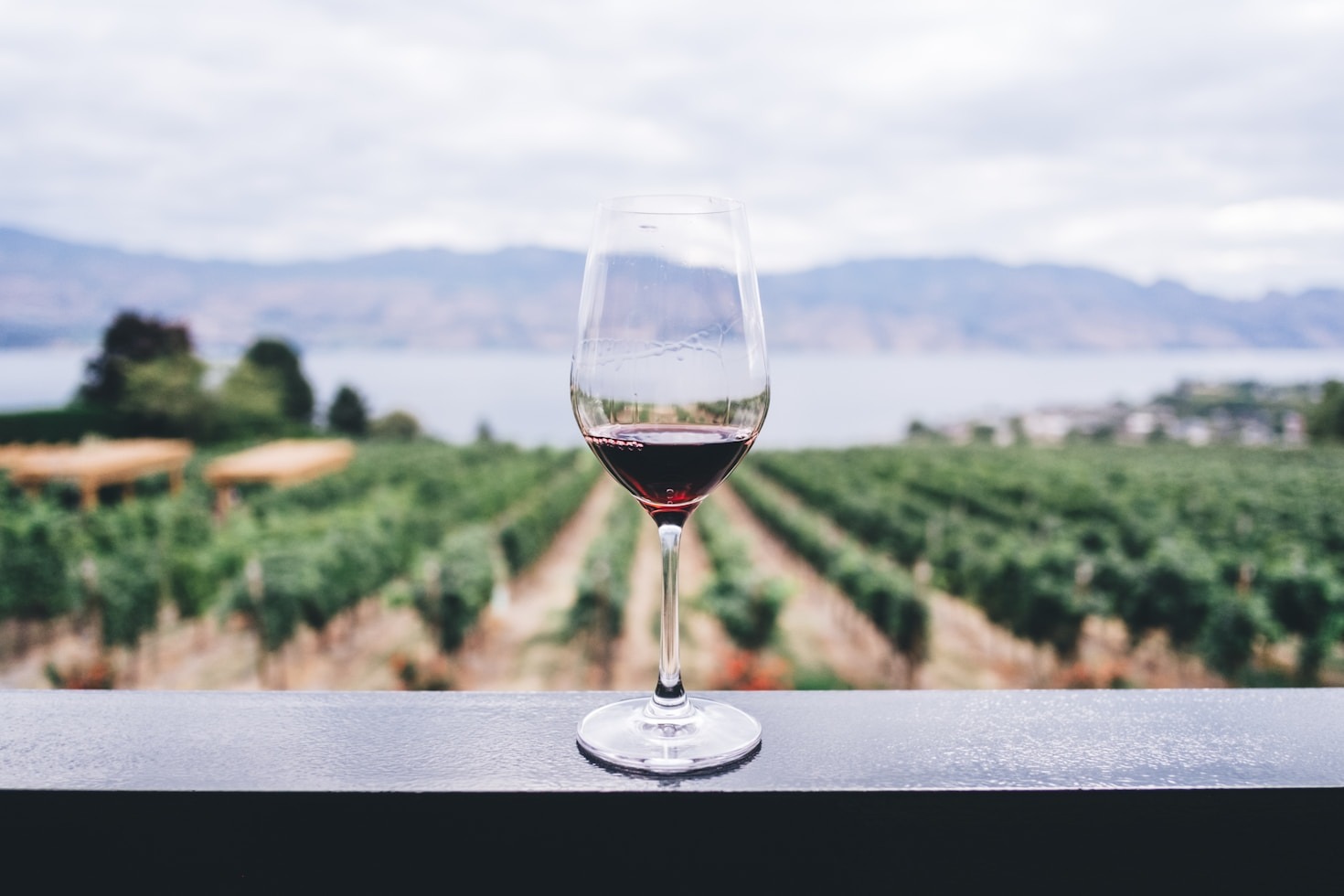 Discover the Stories Behind Your Favorite Wines